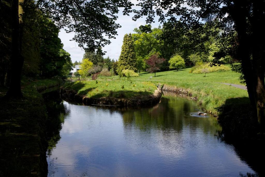 Tully'S Hotel Castlerea Exteriér fotografie